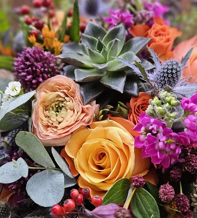Composition de roses orangées, succulentes et fleurs colorées