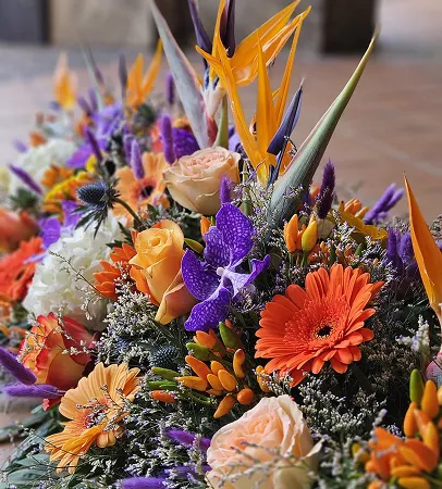 Composition colorée de roses, orchidées, gerberas et oiseaux de paradis