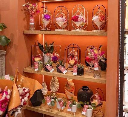 Étagères orangées de la boutique garnies de cloches, de terrariums et de fleurs séchées